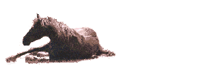 gifrouler.gif